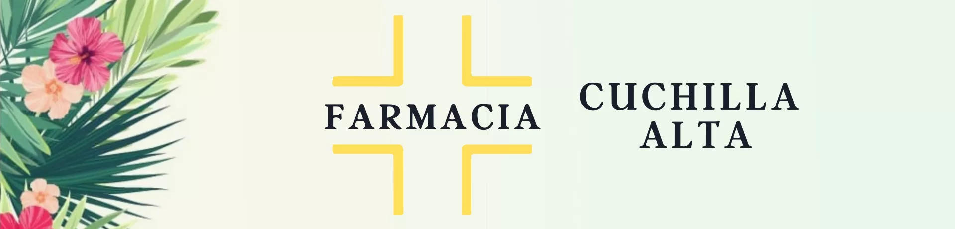 Salud y estética