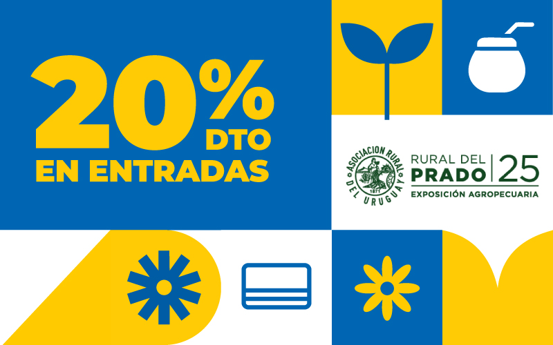 20%