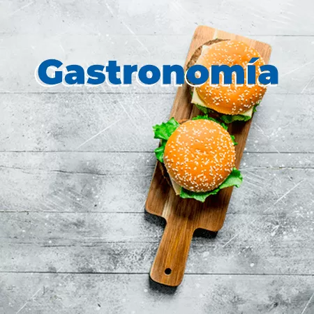 gastronomia