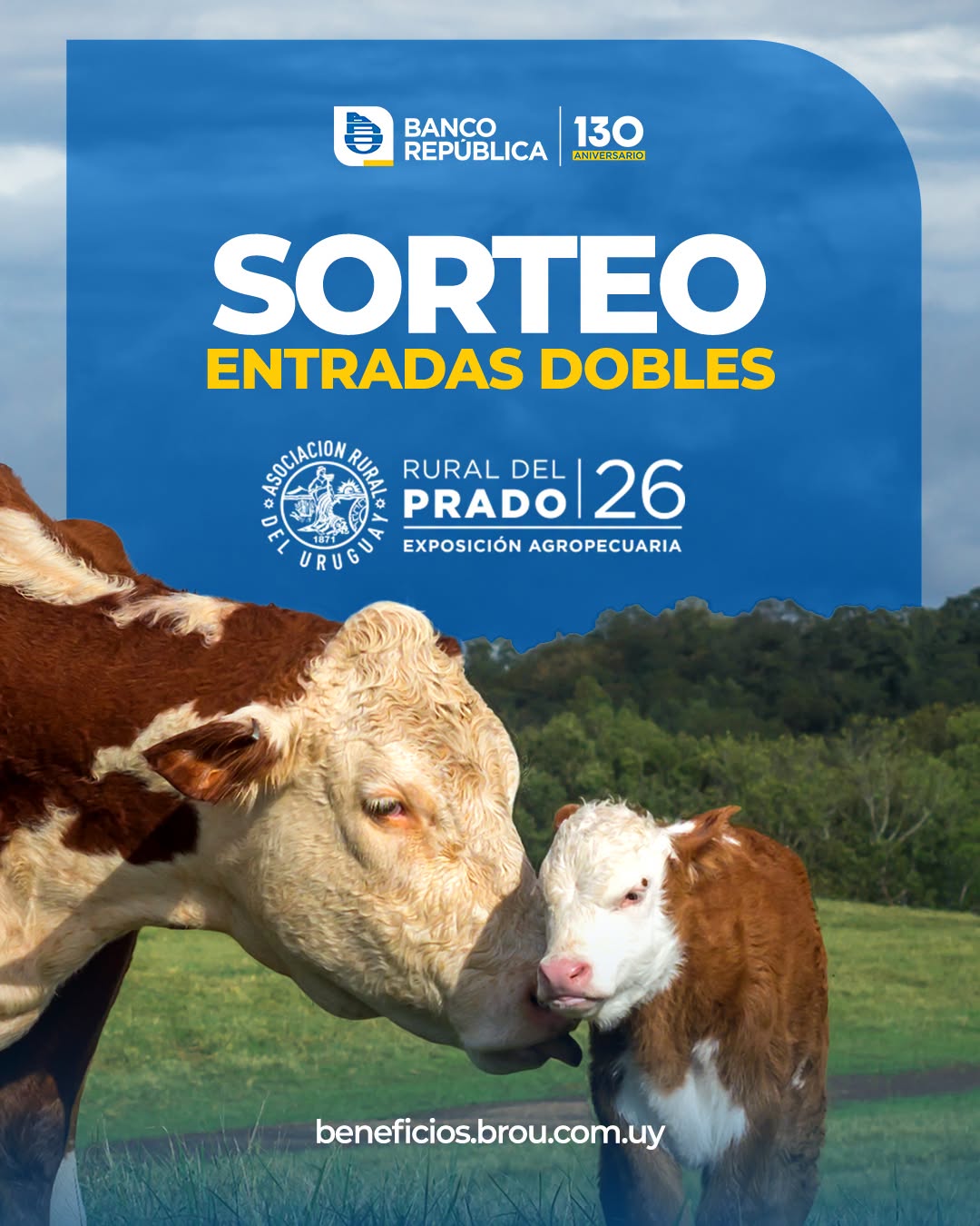Sorteo Rural del Prado 2026